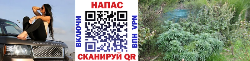 Марихуана VHQ  Белая Холуница 